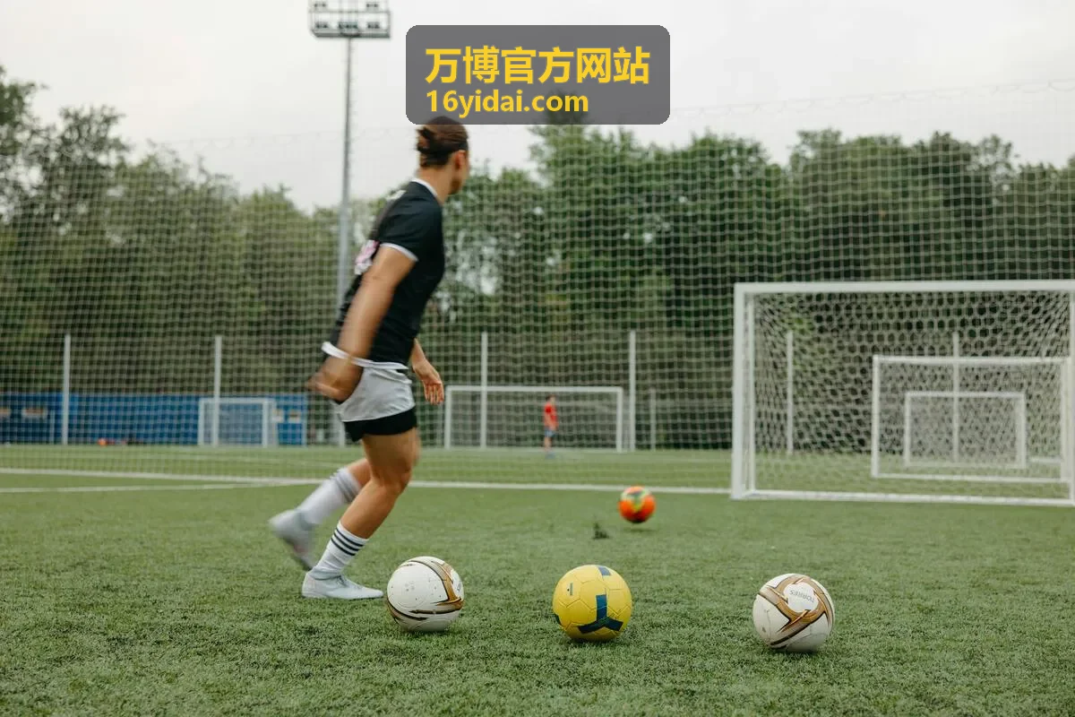 万博官方网站集团总部权限治理项目交付记录