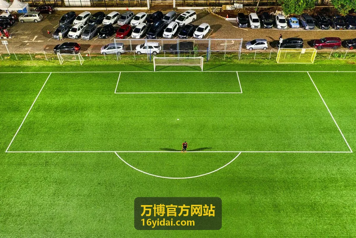 万博官方网站数据看板环比对照与导出水印效果图